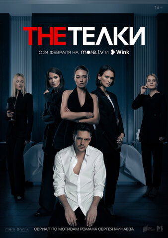 The Телки постер